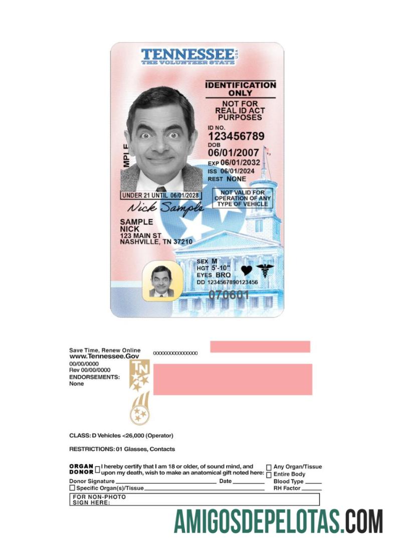 Carta de condução para menores de 21 anos nos EUA, Tennessee, 2024, presente baixar para verificação